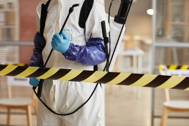 Professional Hoarding Cleanup technician working in Pahokee, FL